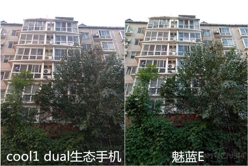 6551145.jpg