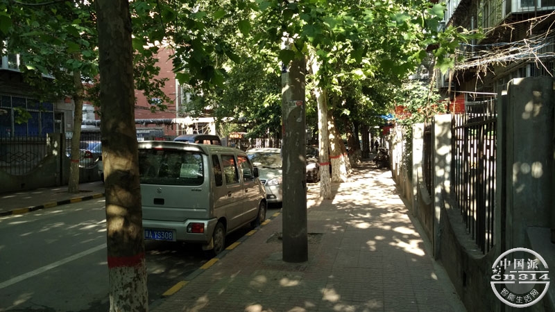 IMG_20150512_073604.jpg