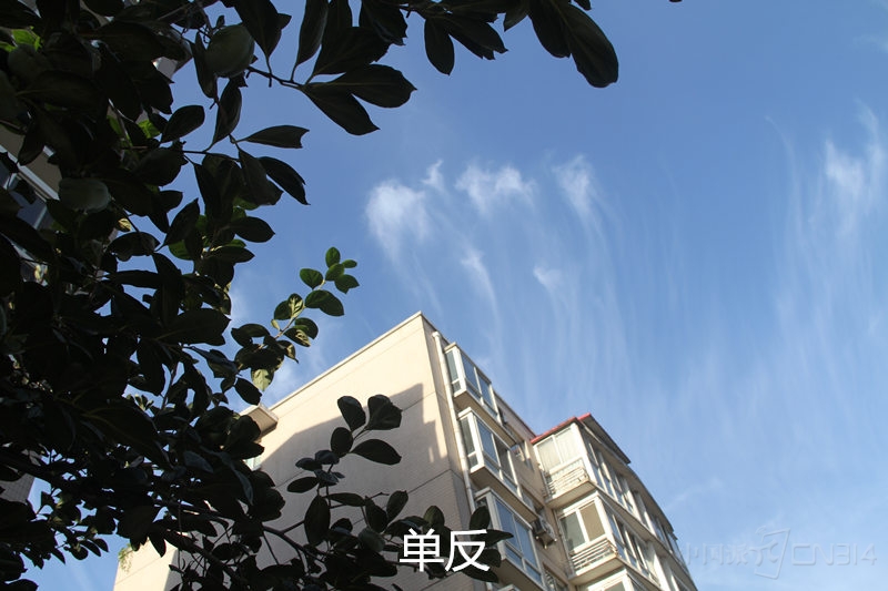 E1.jpg