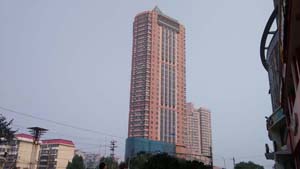 OPPO R301.jpg