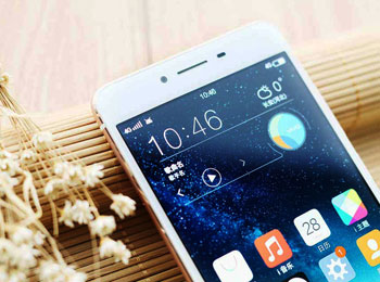 vivo X6 Plus 𻨱