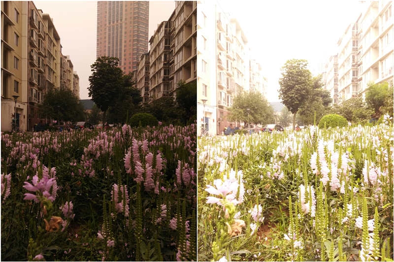的是.jpg