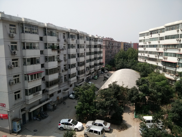 100.jpg