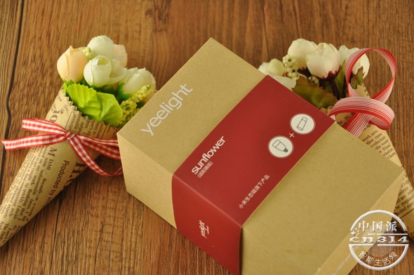 yeelight--��װ-2.jpg