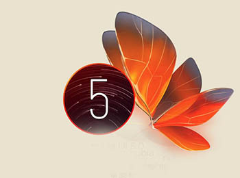 6콢ٶȴҶ һ˭ң