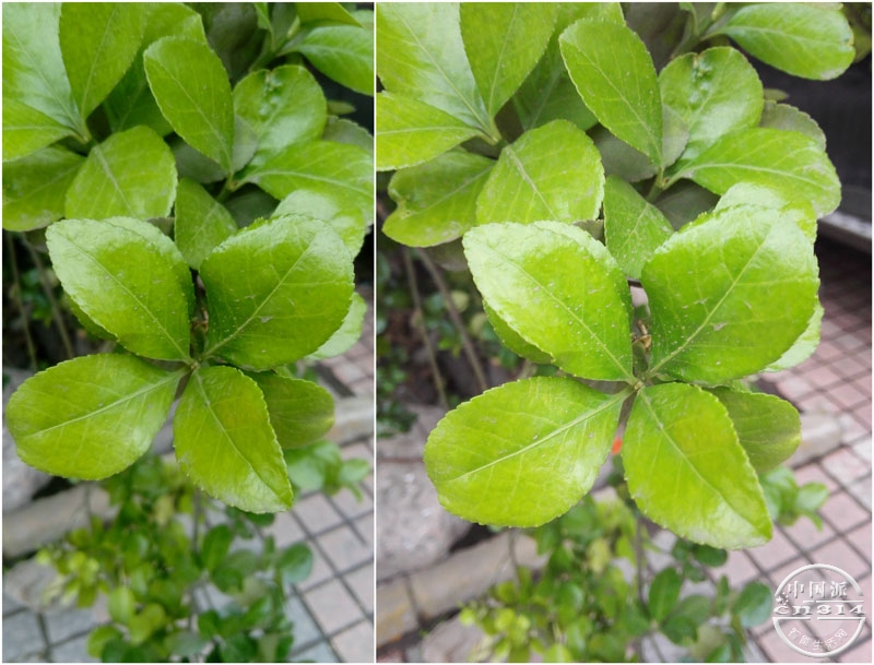 ��������-����K3-Note�Ա���ҫ6Plus��ƪ_΢������.jpg