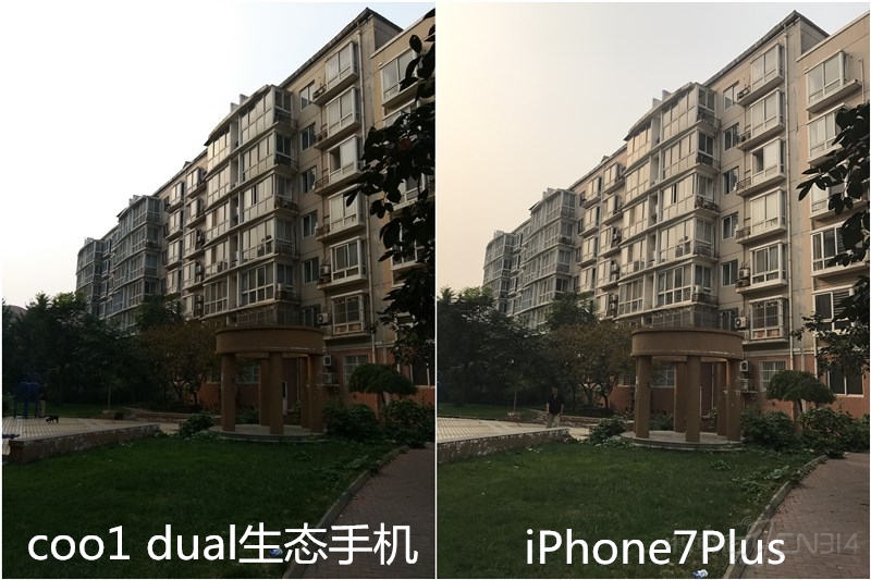 300.jpg
