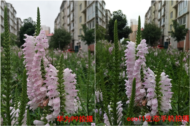 ΢��3.jpg
