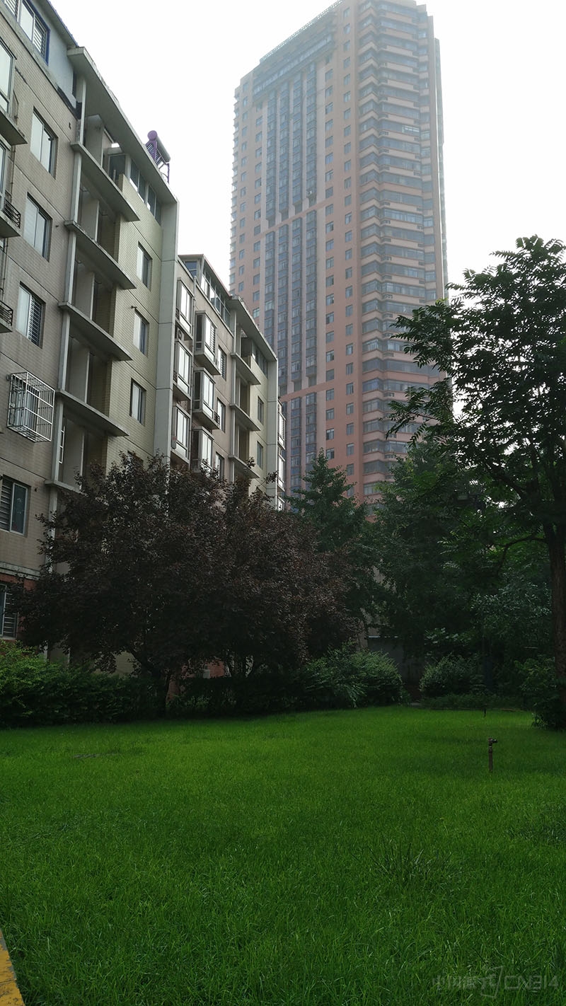 IMG_20160721_155800.jpg