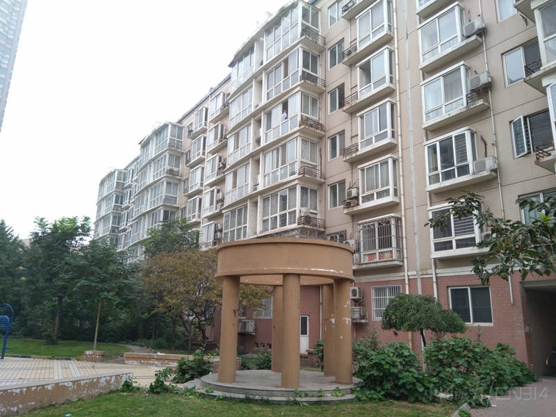 600.jpg