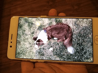 IMG20170321210845.gif