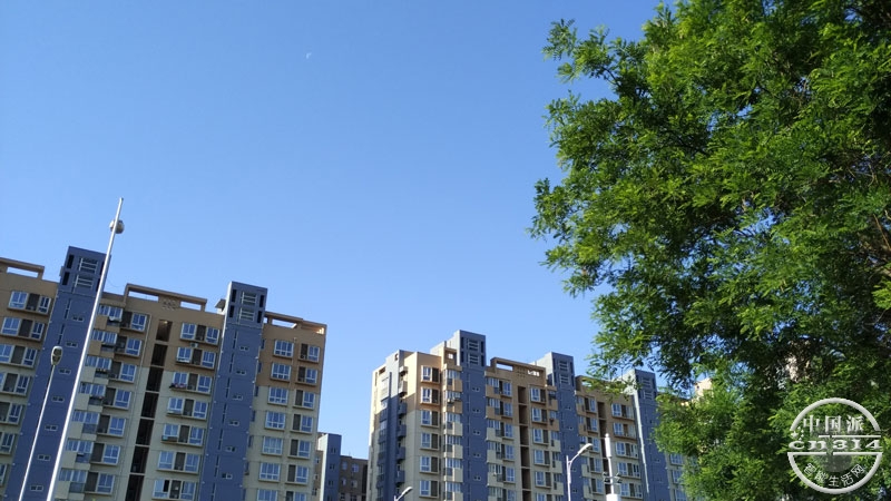 IMG_20150512_074437.jpg