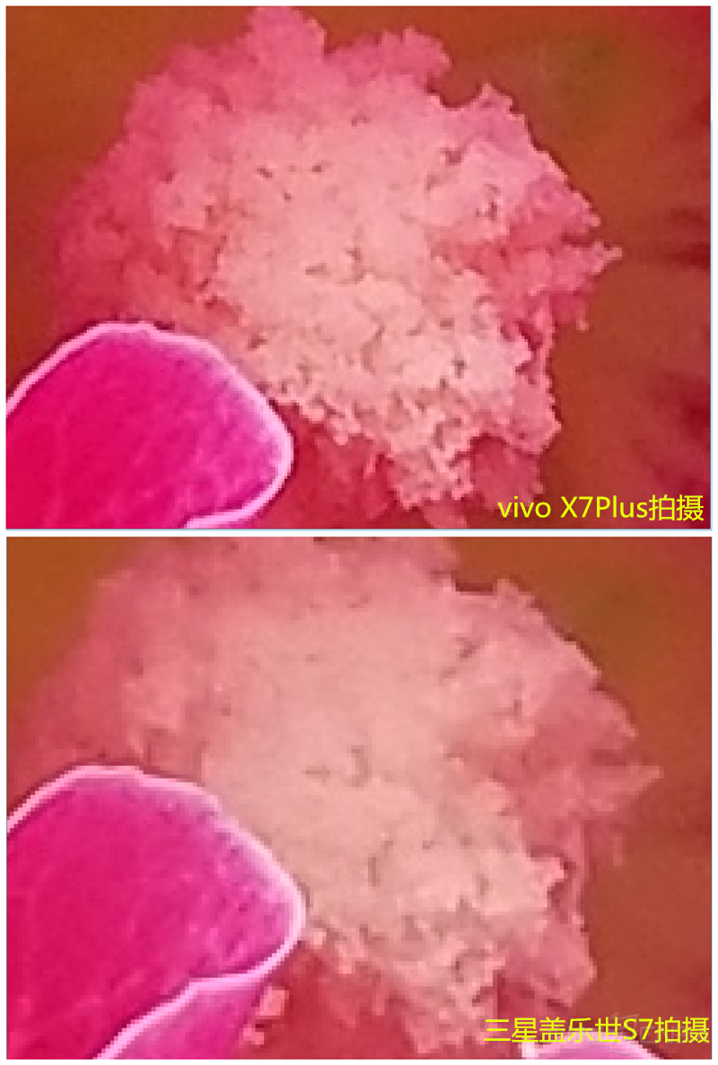 77_����.png