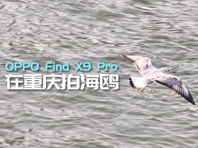 OPPO Find X9 ProĺŸʲô飿