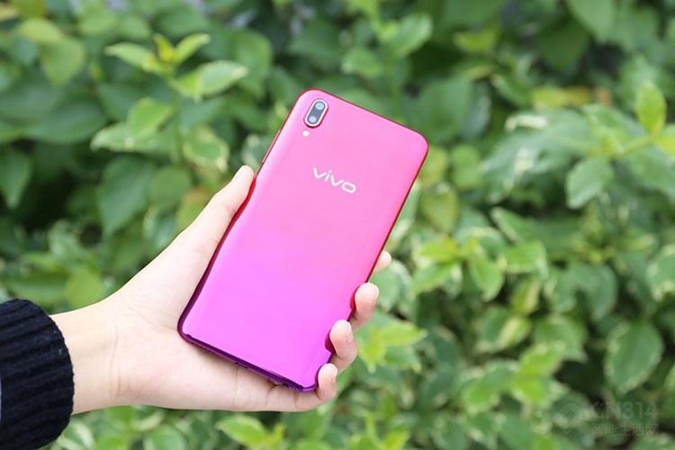 vivo