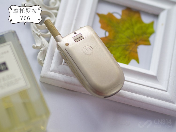 Ħ������V66