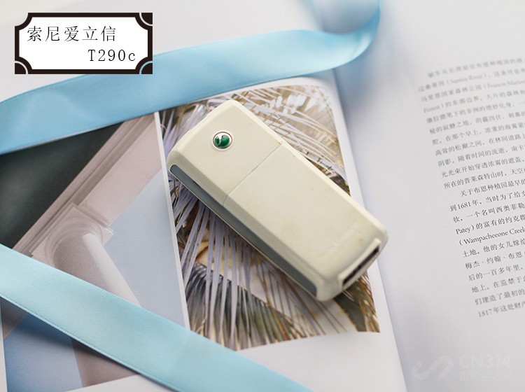 ᰮT290c