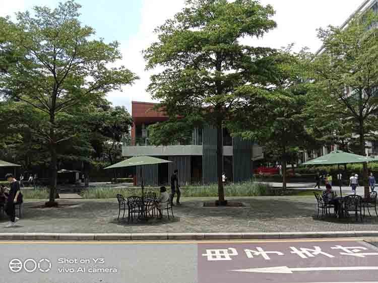 AI智慧拍照!vivo AI智慧拍照!vivo