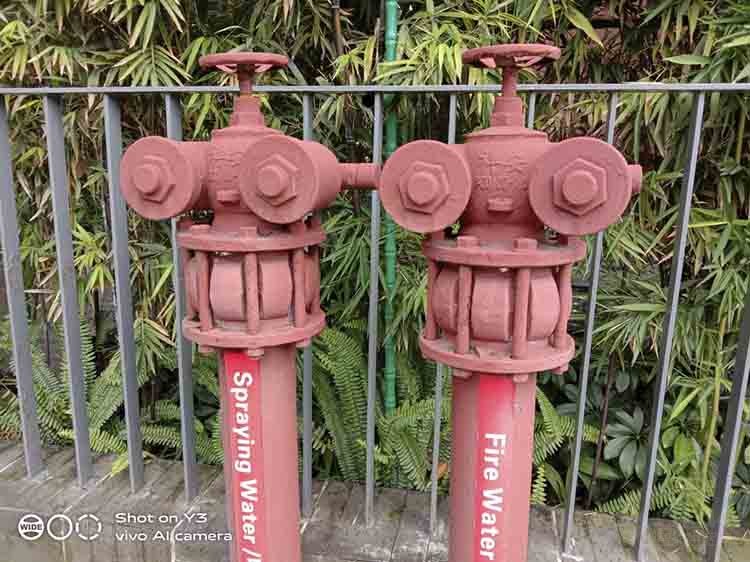 AI智慧拍照!vivo AI智慧拍照!vivo