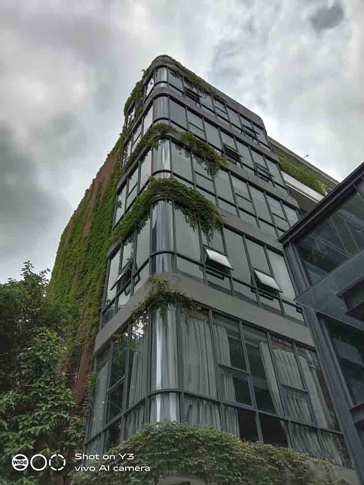 AI智慧拍照!vivo AI智慧拍照!vivo