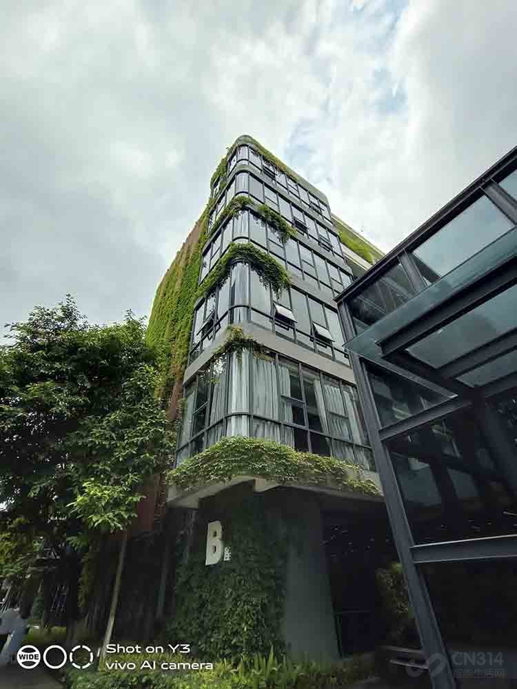 AI智慧拍照!vivo AI智慧拍照!vivo