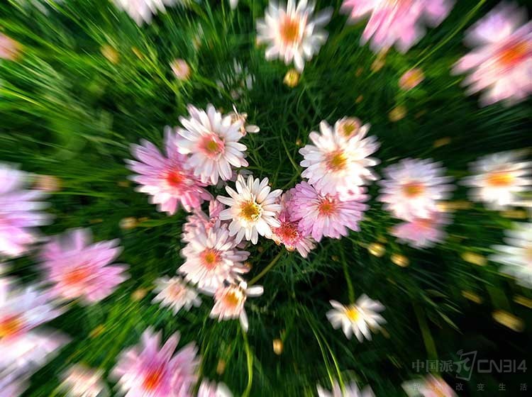 ֻе ֻӰרҸ