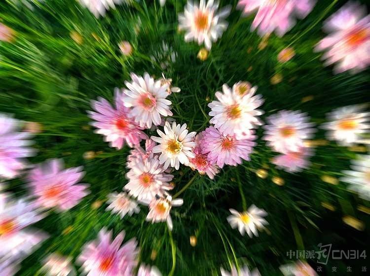 ���ڳ�������ʲô���գ�Сţ�����ξ���