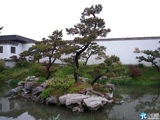 022825c2vjhxuea23xxm13.jpg
