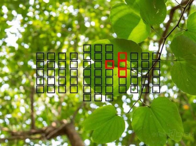 �ֻ��Խ�����̬ ���ܾ���Ŭ����Z17S֮��