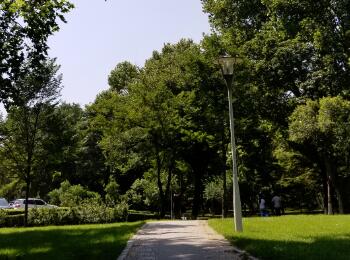 ϸȫ 콢һȸߵ