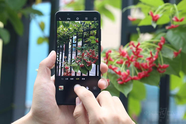 vivo Y71ȫ��������棺���µ�������