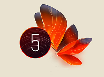 ׿ҲԽԽ nubia UIؾ