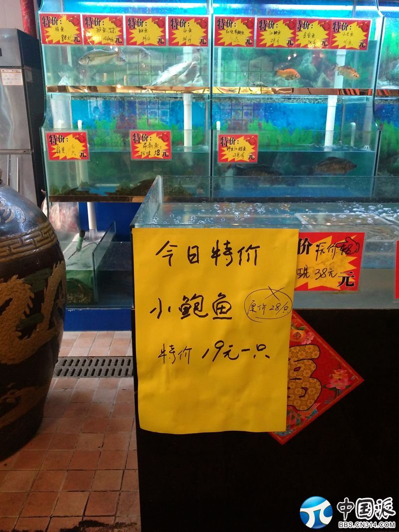 232106p0zvx7h6wj1d6l1l.jpg
