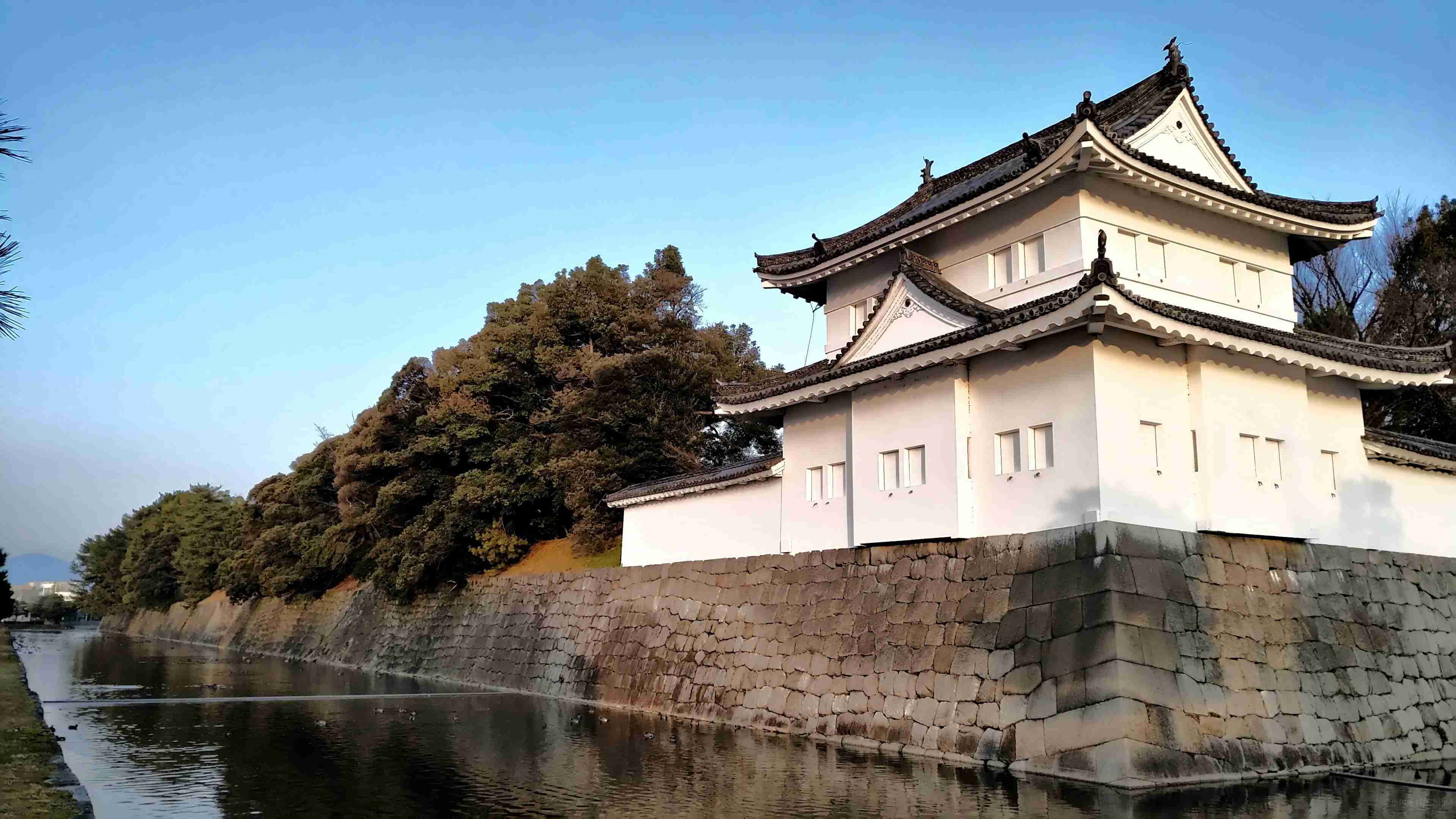 春节出国游用什么拍照?小牛带你游京都