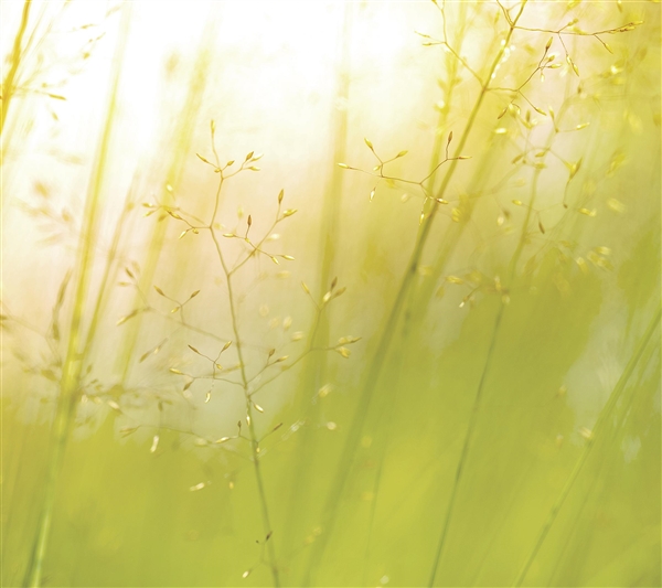 ��Ѹ�����LG G3С���±�ֽ����