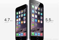 iPhone 65.5Ϊɶȴ4.7磿