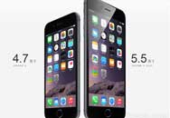 iPhone 65.5Ϊɶȴ4.7磿