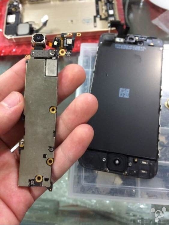��Ŀ���ģ���ǿ��С��5c����iPhone 5s