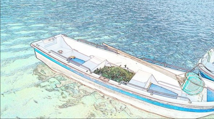 1536056192100216.jpg timg (19).jpg