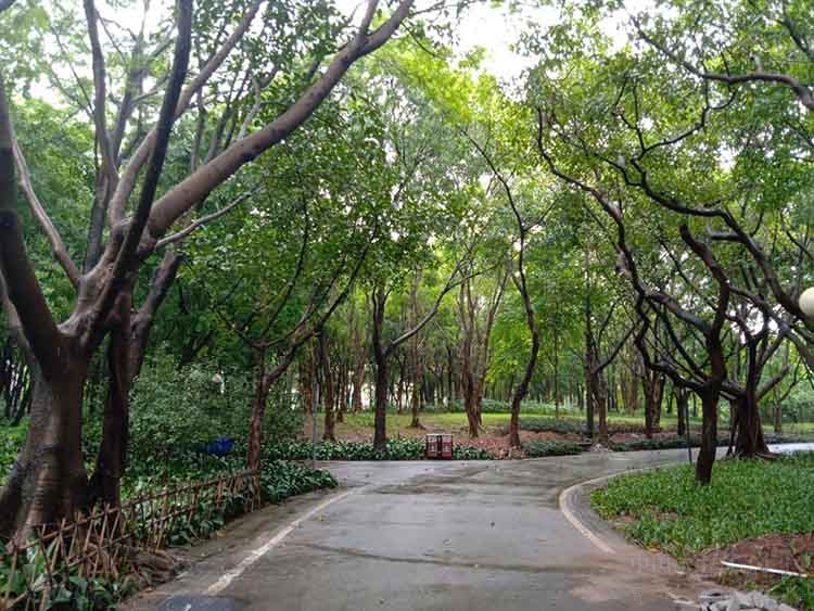 1536137648575334.jpg ͼƬ12.jpg