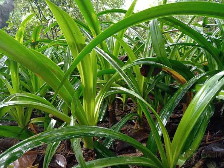 1536137658110337.jpg ͼƬ13.jpg