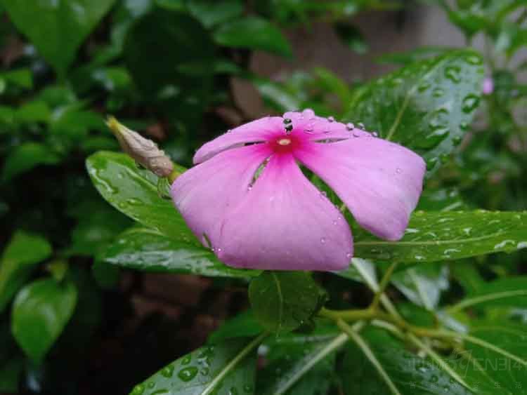 1536137682873243.jpg ͼƬ16.jpg