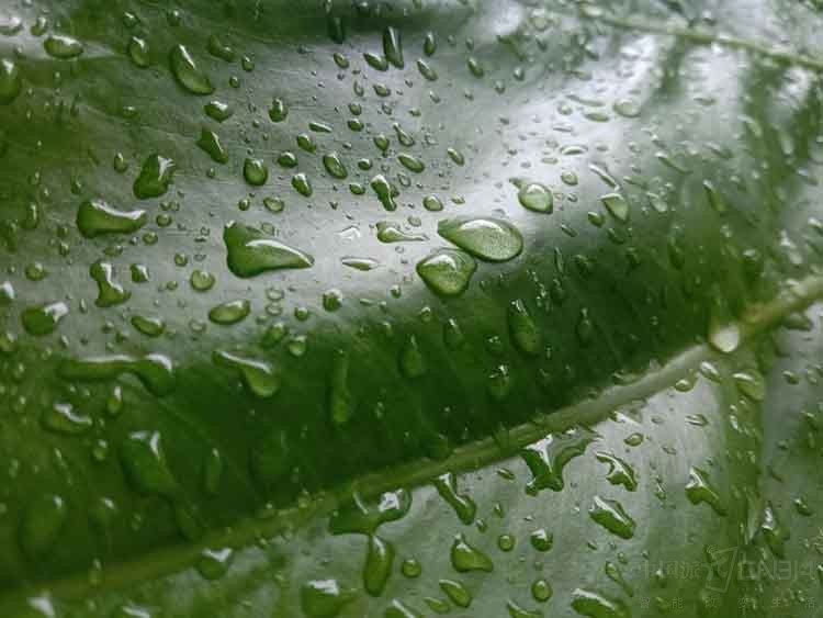 1536137690911370.jpg ͼƬ17.jpg