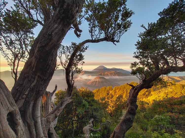 X23��һ���鶯ˮ��������ռ�ȸߴ�91.2%