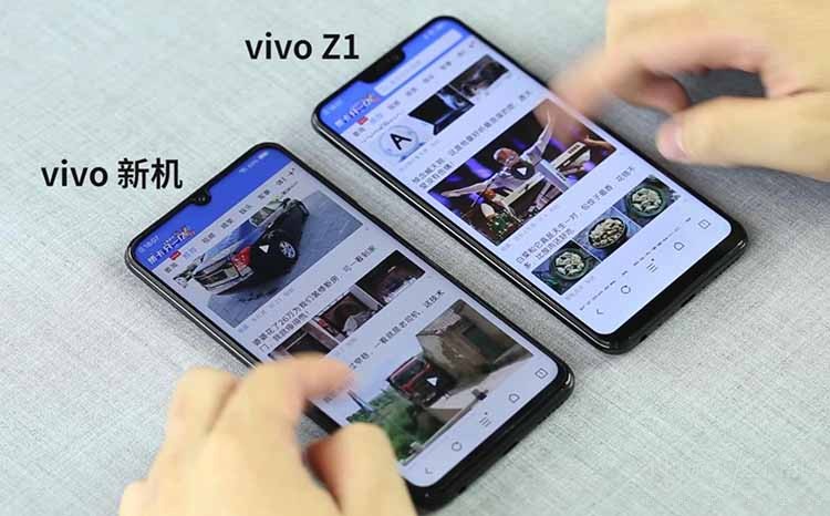 vivo
