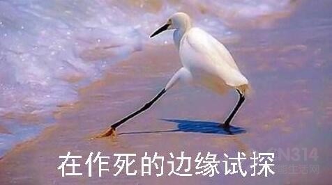 魅族zero粉墨登场 不知最尴尬的品牌是谁? 魅族zero粉墨登场 不知最尴尬的品牌是谁?