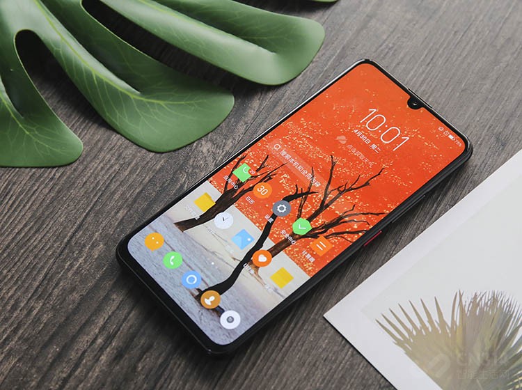Z6