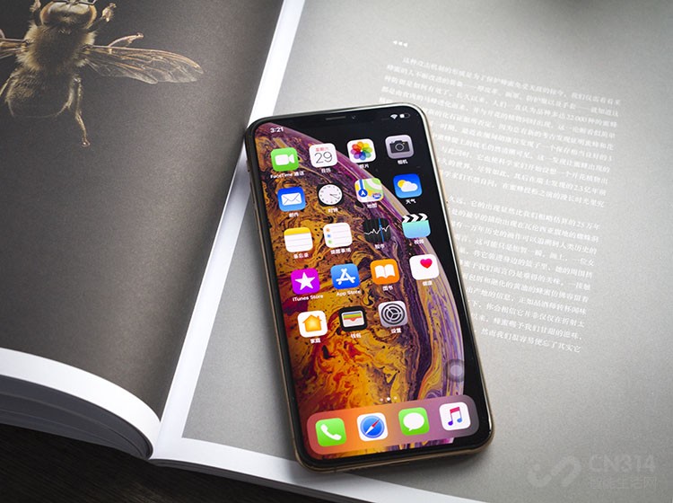 iPhone
