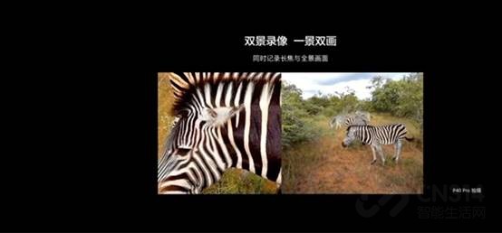 �Ƽ��������