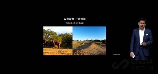 �Ƽ��������